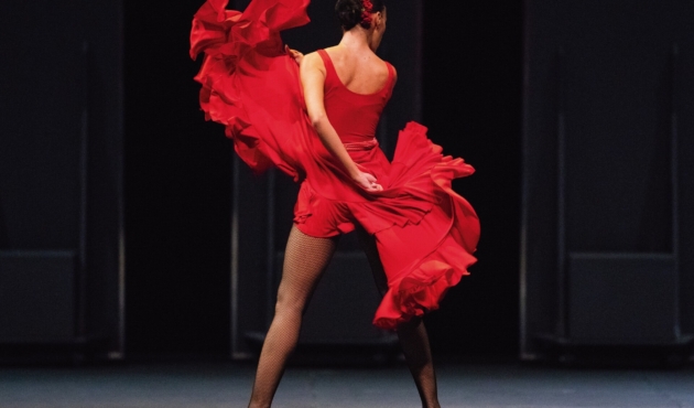 CARMEN 34_© Stanislav Levshin